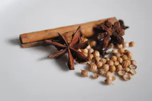 spices for Vietnamese Pho