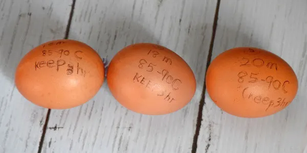 perfect hard boiled eggs