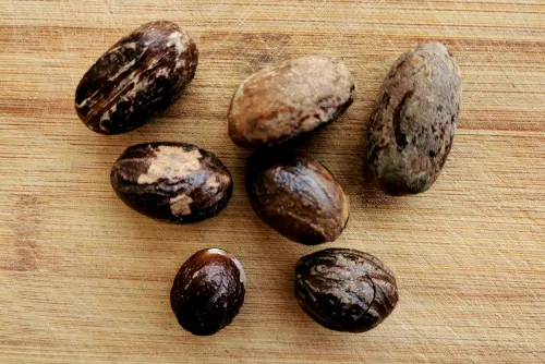 Black cardamom 草果