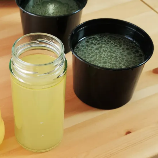 Chinese chicken stock is suitable for all Chinese dishes because it is prepared with the basic aromatic used in Chinese cuisine.