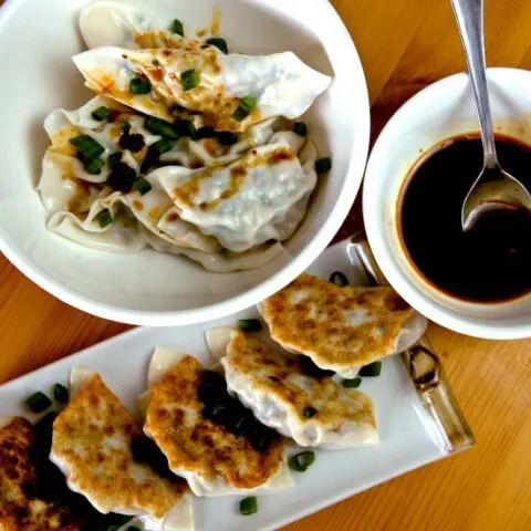 Chinese chicken dumplings square
