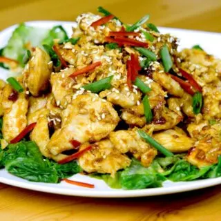 spicy garlic chicken image