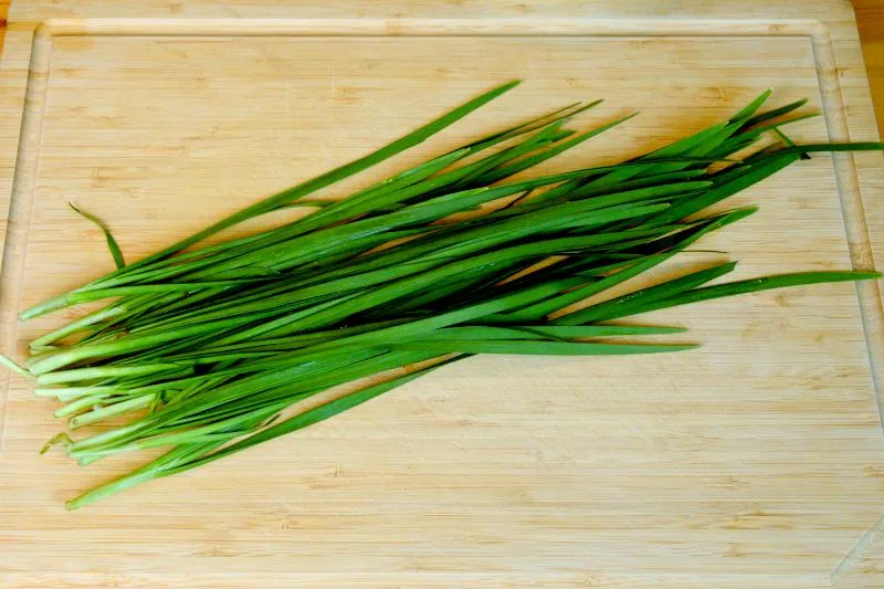 Chinese chives