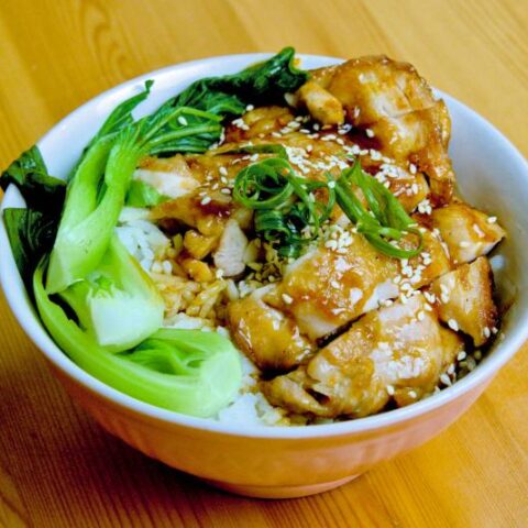 Teriyaki Chicken and Rice