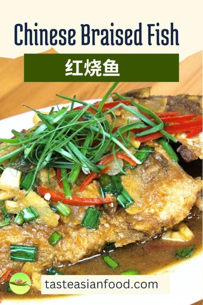 Chinese Braised Fish