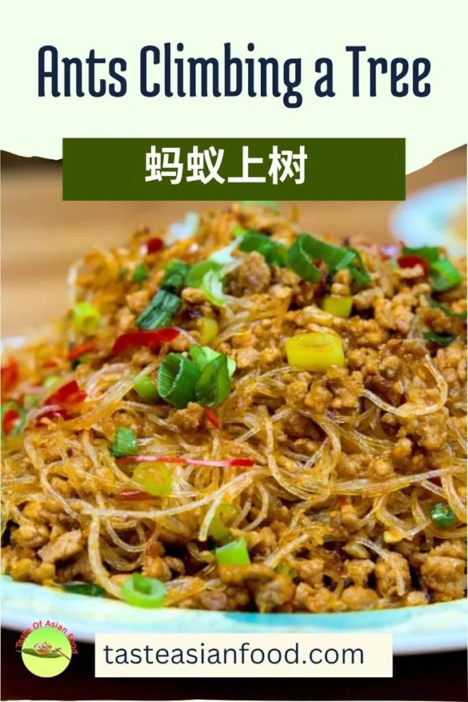 ants climbing a tree (stir fry glass noodles with minced pork)