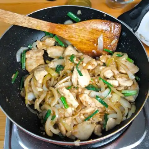 Chicken and onion image (5)